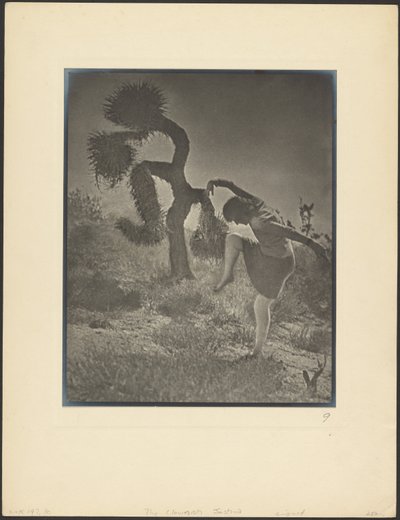 A bohócos Joshua alkotó: Louis Fleckenstein