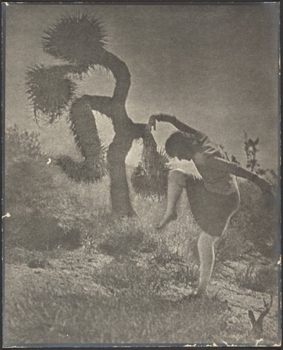 A bohókás Joshua alkotó: Louis Fleckenstein