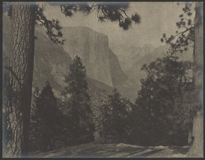 Yosemite, a fenyőkön át alkotó: Louis Fleckenstein