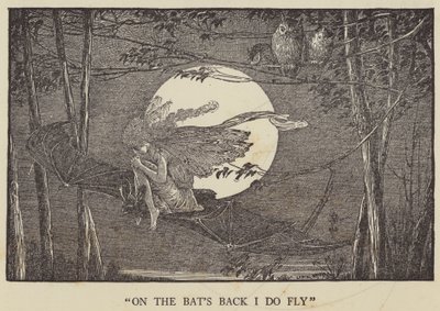 A denevérek hátán repülök alkotó: Louis John Rhead