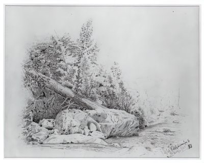 Kidőlt fa, Keene Valley, 1883. július 25. alkotó: Louis Michel Eilshemius