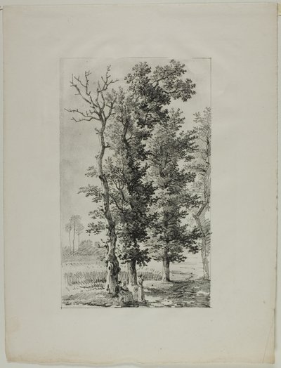 Fák tanulmányozása alkotó: Louis Pierre Baltard