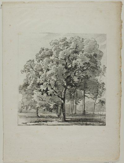 Fák tanulmányozása alkotó: Louis Pierre Baltard