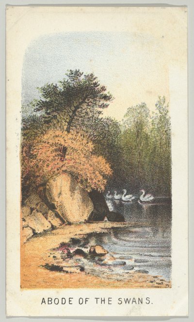 A hattyúk lakhelye a sorozatból, Views in Central Park, New York, 2. rész, 1864. alkotó: Louis Prang