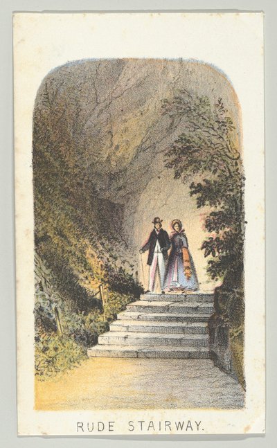 Rude Stairway a sorozatból, Views in Central Park, New York, 2. rész, 1864. alkotó: Louis Prang