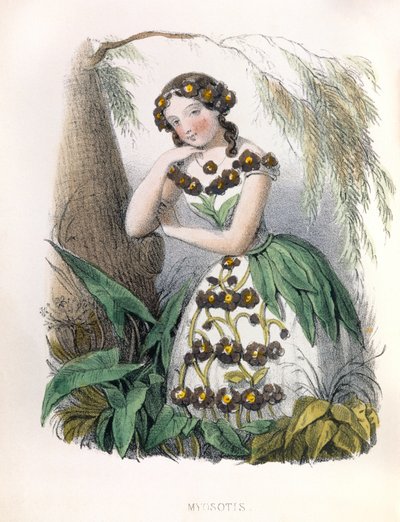  alkotó: Louis Simon (1810-1870) Lassalle