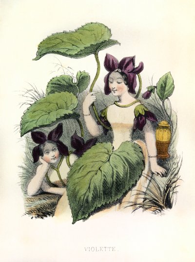 Allegóriák , la Violette alkotó: Louis Simon (1810-1870) Lassalle