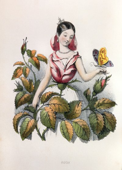  alkotó: Louis Simon (1810-1870) Lassalle