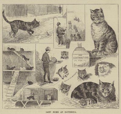Macskák otthona Battersea-ben alkotó: Louis Wain