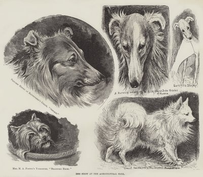Kutyakiállítás a Mezőgazdasági Csarnokban alkotó: Louis Wain