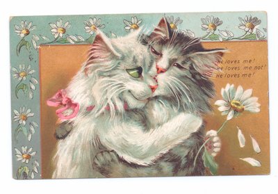 Edward korabeli képeslap két egymást ölelő macskával, 1910 körül alkotó: Louis Wain