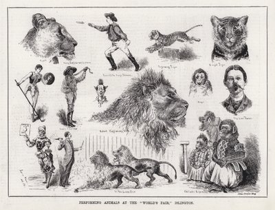 Állatok előadása a "Világkiállításon", Islington (metszet) alkotó: Louis Wain