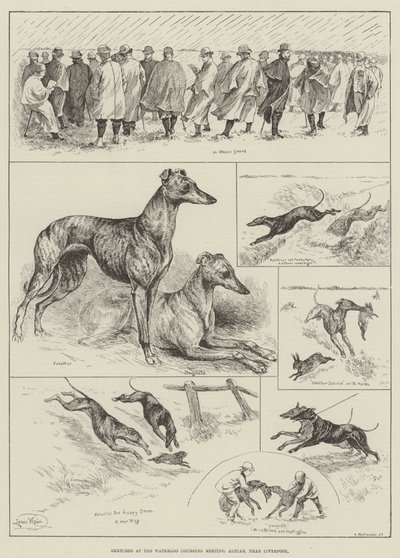 Vázlatok a Waterloo Coursing Meetingen, Altcar, Liverpool közelében (metszet) alkotó: Louis Wain