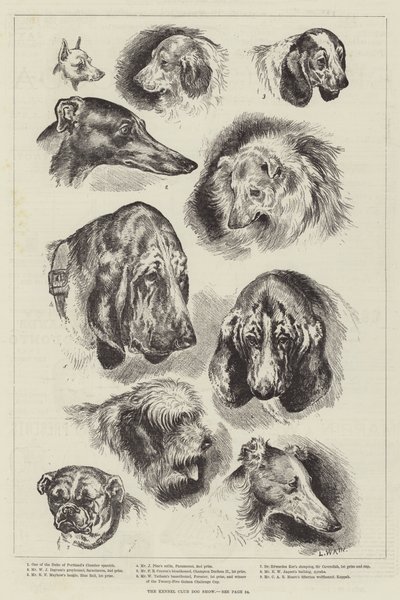 A Kennel Club kutyakiállítás alkotó: Louis Wain