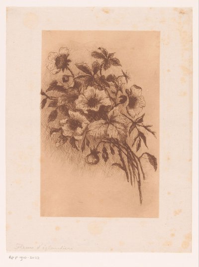 Virágok alkotó: Louise Elsen (attributed to)