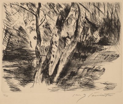 Nyírfák a Tiergartenben alkotó: Lovis Corinth