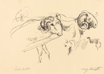 Schafböcke Rams, 1912. alkotó: Lovis Corinth