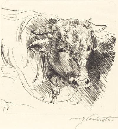 Stierkopf (a kormány vezetője) alkotó: Lovis Corinth