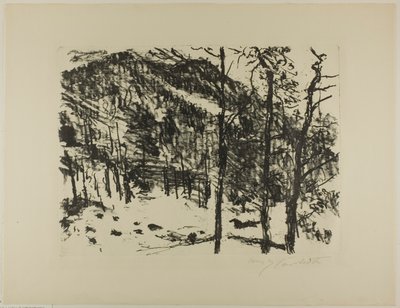 A völgy, a kora tavasztól a hegyekben alkotó: Lovis Corinth