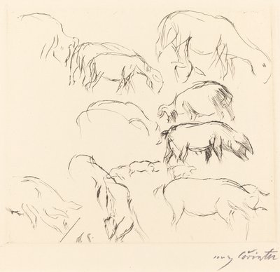 Különféle állattanulmányok Animal Studies, 1917. alkotó: Lovis Corinth