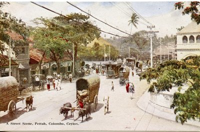 Utcai jelenet, Pettah, Colombo, Ceylon, 1900-20 körül (kézzel színezett fénykép) alkotó: Ltd. Ceylon Plâté