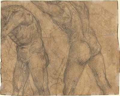 Két akt figura [fordítva] alkotó: Luca Signorelli