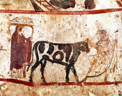 Egy bika vezet az áldozati oltáron Lucanian freskó a Kr.e. IV. századból, az olaszországi Paestumban található Andriuolo nekropoliszából. Museo nazionale archeologico, Paestum alkotó: Lucanian School