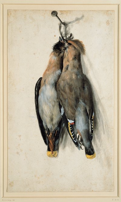 Két halott bohém viasz alkotó: Lucas Cranach the Elder