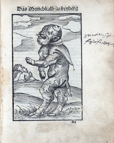 Freibergi szerzetes borjú (Das Moenchkalb zu Freiberg), készítette Cranach, Lucas, az idősebb (1472-1553). fametszet alkotó: Lucas the Elder Cranach