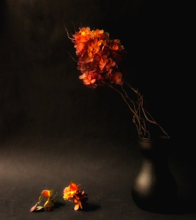  alkotó: Ludmila Shumilova