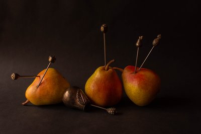  alkotó: Ludmila Shumilova