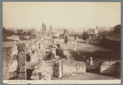 A császári paloták romjai a római Palatinus-dombon Aedes Pubblica, Palazzo dei Cesari (cím a tárgyon) alkotó: Ludovico Tuminello