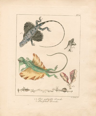  alkotó: Ludwig Christoph Tyroff