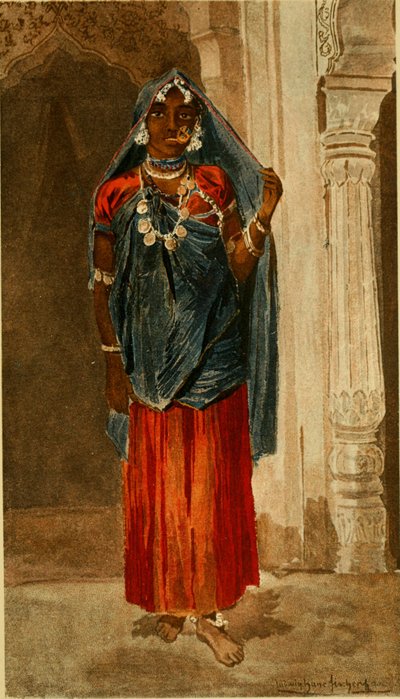 A bécsi Természettudományi Múzeum Évkönyvei (1890) (18013829859) alkotó: Ludwig Hans Fischer