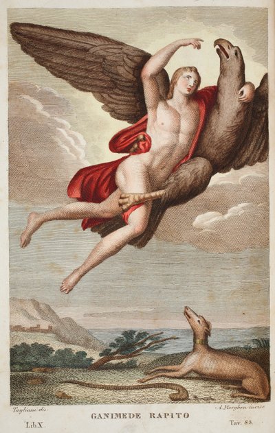 Ganymede vitt a mennybe vagy Ganimede Rapito, X. könyv, illusztráció Ovidius Metamorfózisaiból, Firenze, 1832 (kézzel színezett metszet) alkotó: Luigi Ademollo