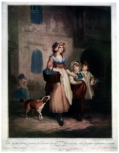 Két csomó egy fillért, kankalin, két csomó egy fillért, 1793, 1929 alkotó: Luigi Schiavonetti