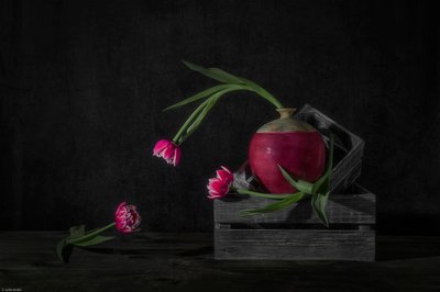 Sötét tulipánok és retek alkotó: Lydia Jacobs