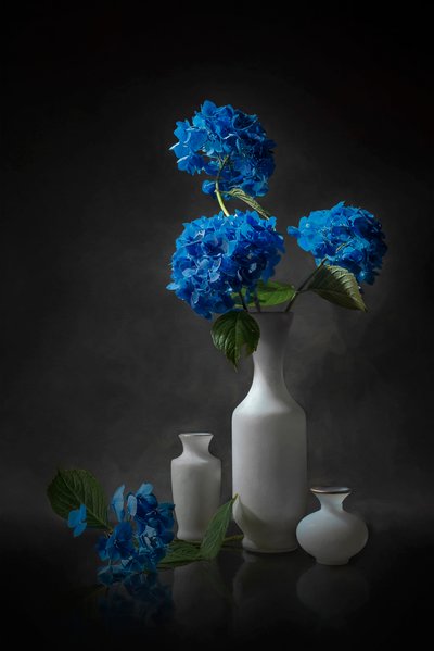 Elegáns kék hortenziák alkotó: Lydia Jacobs