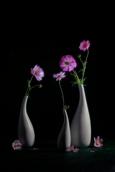 Elegáns kozmoszcsendélet alkotó: Lydia Jacobs