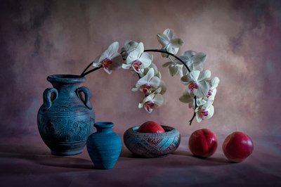 Elegáns orchideás csendélet alkotó: Lydia Jacobs