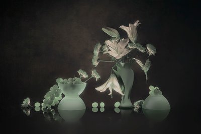 Ragyogó liliomok és szőlő alkotó: Lydia Jacobs