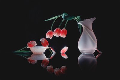 Ragyogó tulipántükröződés alkotó: Lydia Jacobs