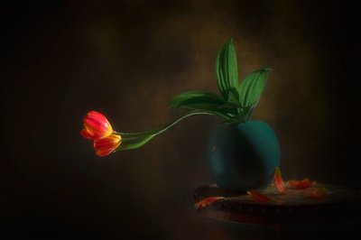 Csendélet kecses tulipánokkal alkotó: Lydia Jacobs