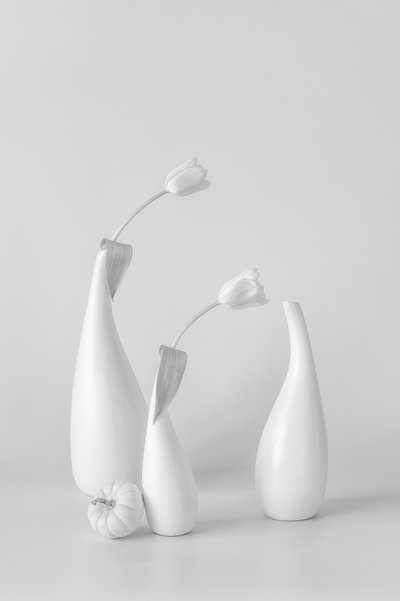 Minimalista fehér tulipánok alkotó: Lydia Jacobs