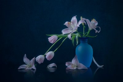 Hangulatos liliomok és tulipánok alkotó: Lydia Jacobs