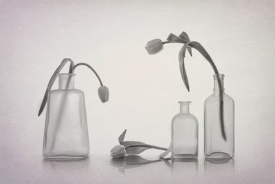 Csendes tulipáncsendélet alkotó: Lydia Jacobs