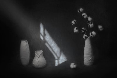 Derűs pamutcsendélet alkotó: Lydia Jacobs