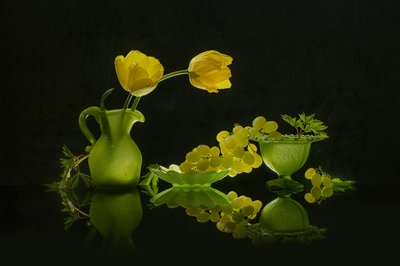 Sárga tulipánok, zöld szőlő alkotó: Lydia Jacobs