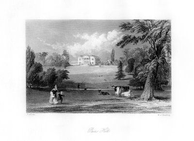 Pains Hill, Surrey, 19. század. alkotó: M. J. Starling