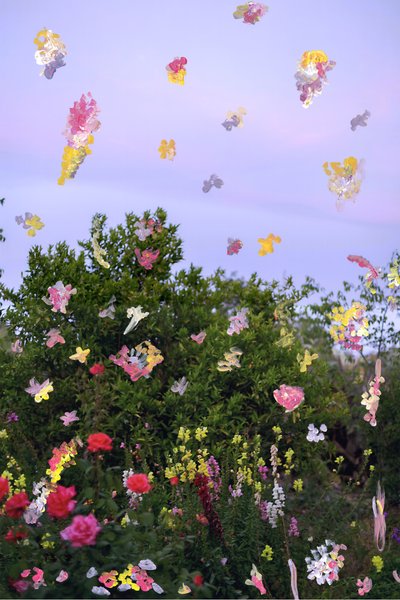 Abstracted Flowers, 2019 (akrilfesték archív pigmentnyomaton) alkotó: Madeleine Gross
